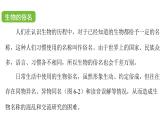 蘇科版（2024）生物七年級上冊 3.6.1 生物的命名 （課件）