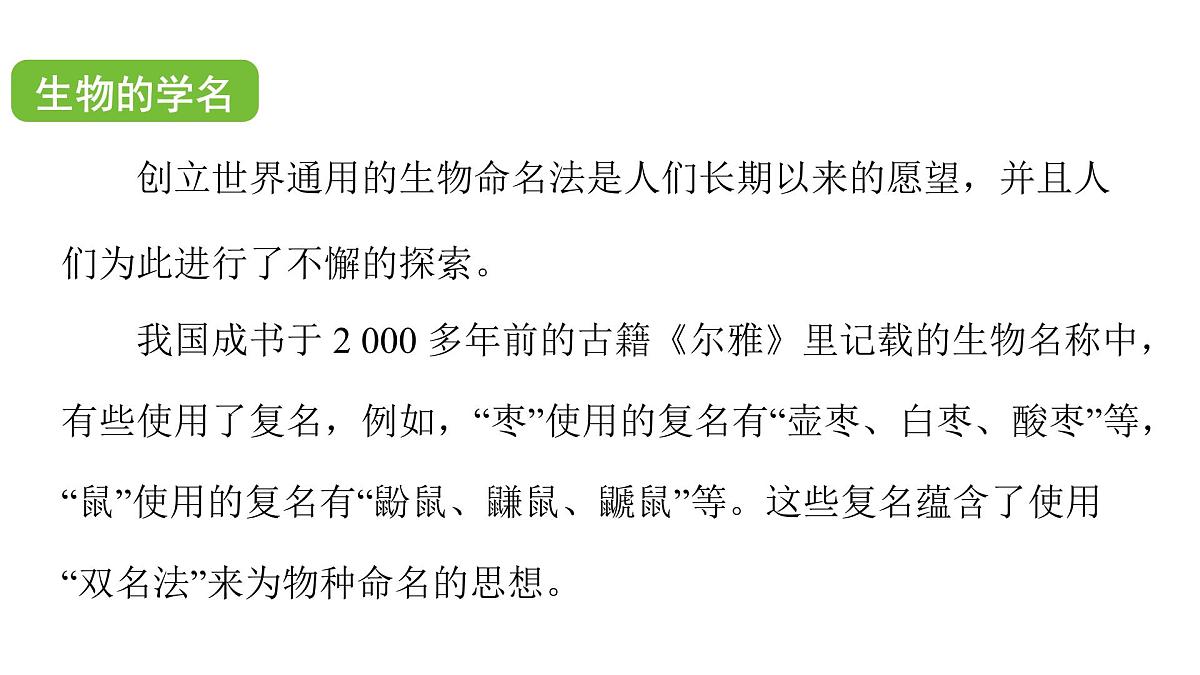 苏科版（2024）生物七年级上册 3.6.1 生物的命名 （课件）第7页