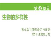 蘇科版（2024）生物七年級上冊 3.6.2 生物的分類 （課件）