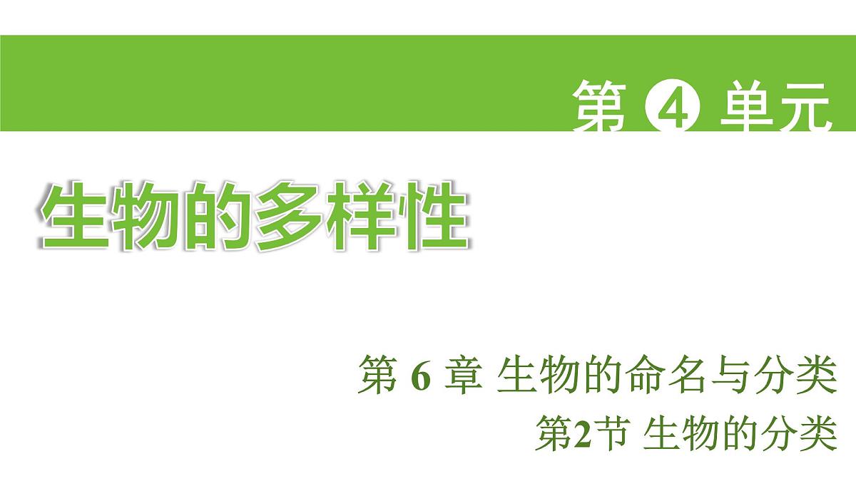 苏科版（2024）生物七年级上册 3.6.2 生物的分类 （课件）第1页