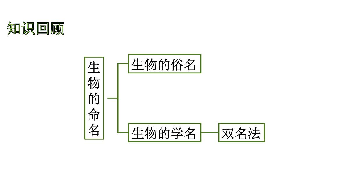 苏科版（2024）生物七年级上册 3.6.2 生物的分类 （课件）第2页