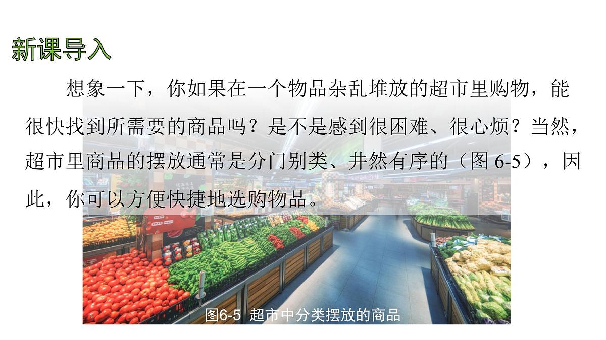 苏科版（2024）生物七年级上册 3.6.2 生物的分类 （课件）第3页