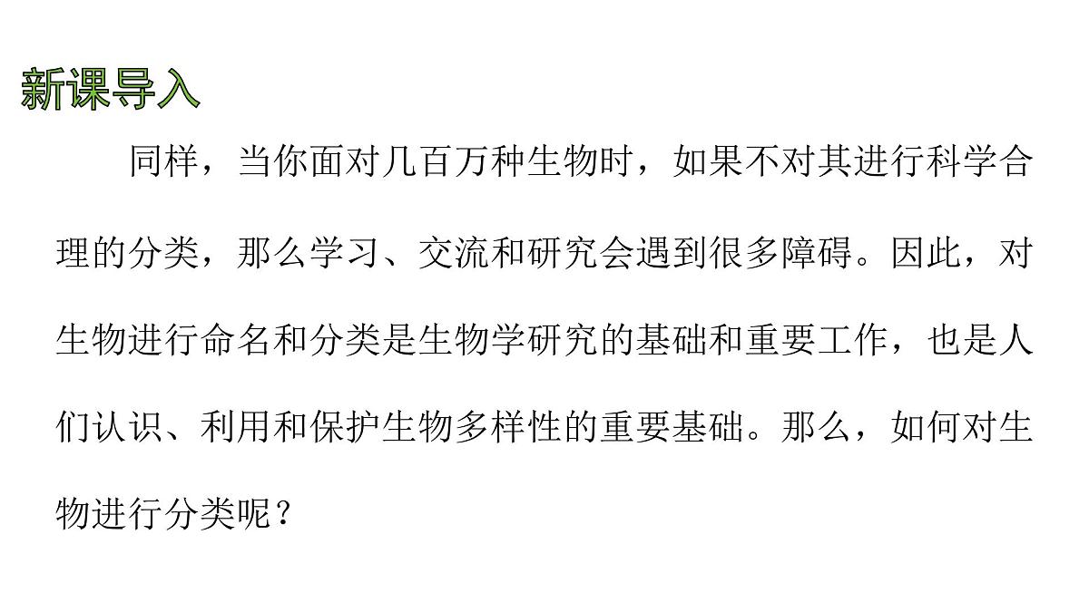 苏科版（2024）生物七年级上册 3.6.2 生物的分类 （课件）第4页