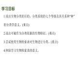 蘇科版（2024）生物七年級上冊 3.6.2 生物的分類 （課件）