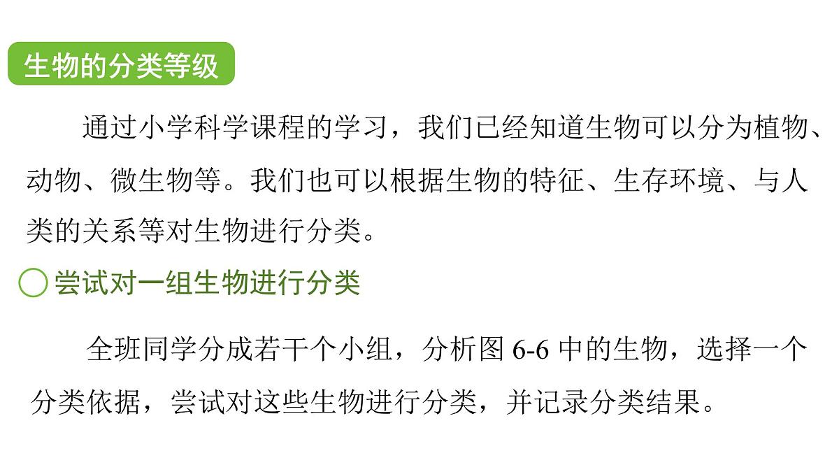 苏科版（2024）生物七年级上册 3.6.2 生物的分类 （课件）第6页