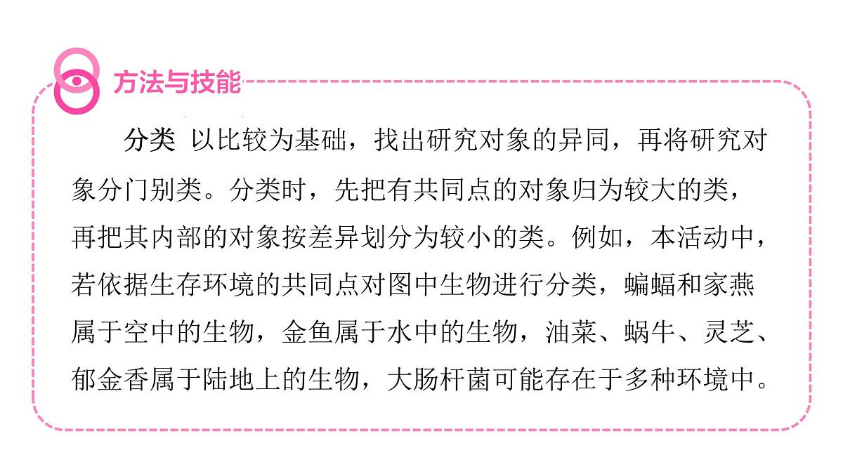 苏科版（2024）生物七年级上册 3.6.2 生物的分类 （课件）第7页