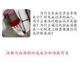 第十四章 人體內(nèi)物質(zhì)的運(yùn)輸 第1節(jié) 血液 PPT課件