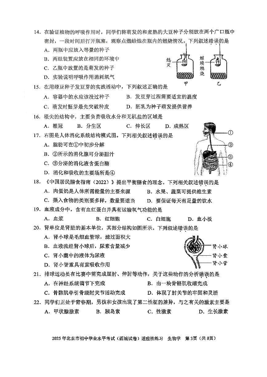 2025北京西城初二二模中考模拟生物 有答案试题第3页