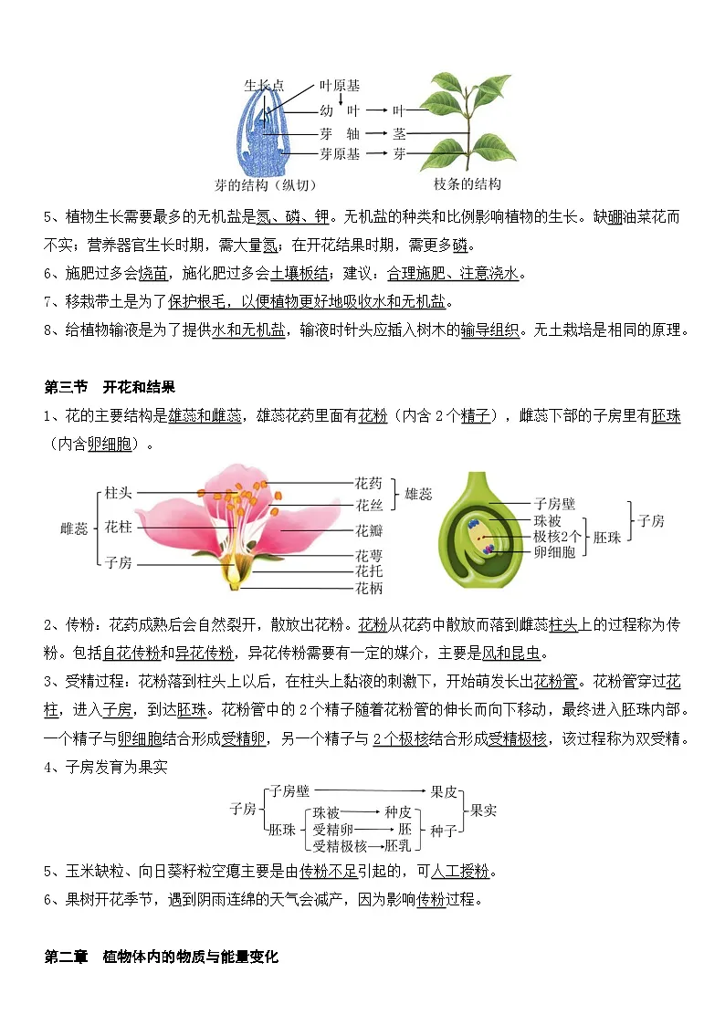 人教版（2024）七年级下册生物期末复习考点背诵提纲详细版 学案第2页