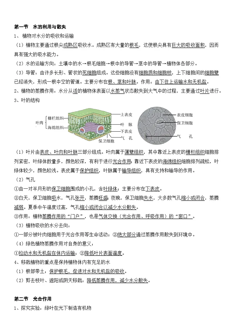 人教版（2024）七年级下册生物期末复习考点背诵提纲详细版 学案第3页