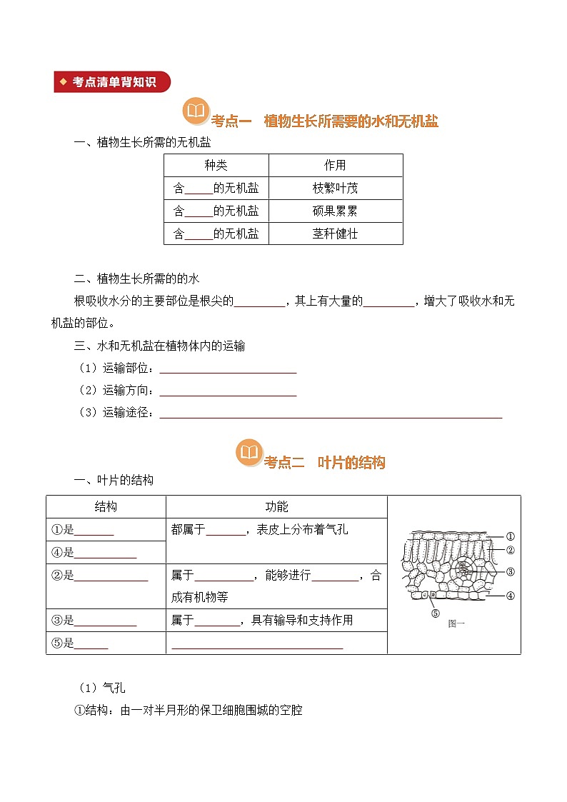 清单10 绿色植物的三大作用（原版卷）第2页