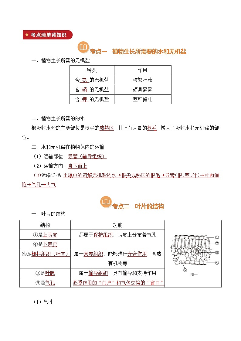 清单10 绿色植物的三大作用（解析版）第2页