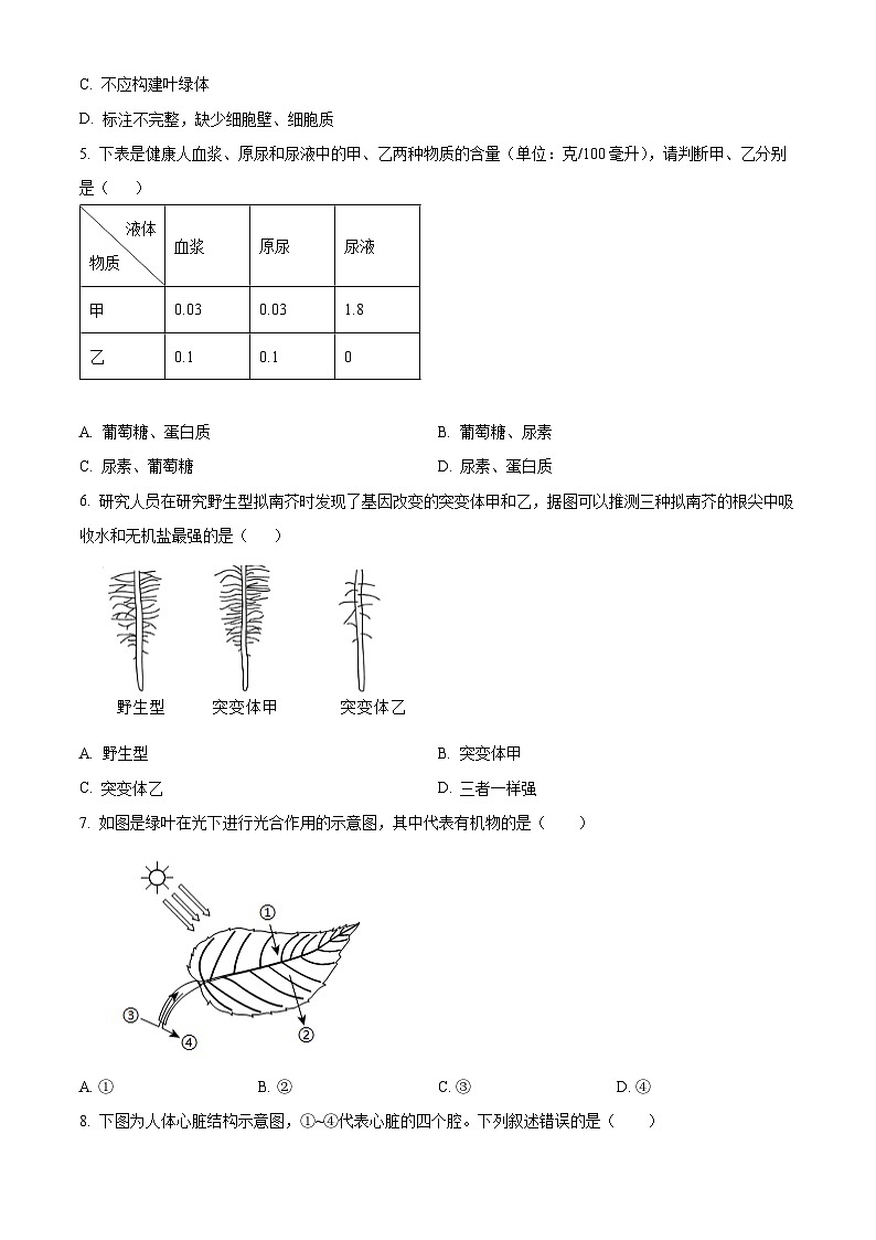 2025年江苏省盐城市两校联考八年级三模生物试题（中考模拟）第2页