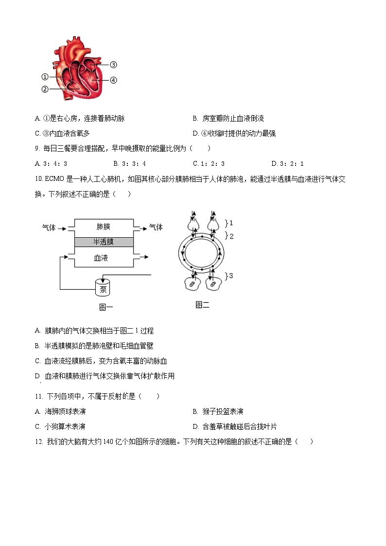 2025年江苏省盐城市两校联考八年级三模生物试题（中考模拟）第3页