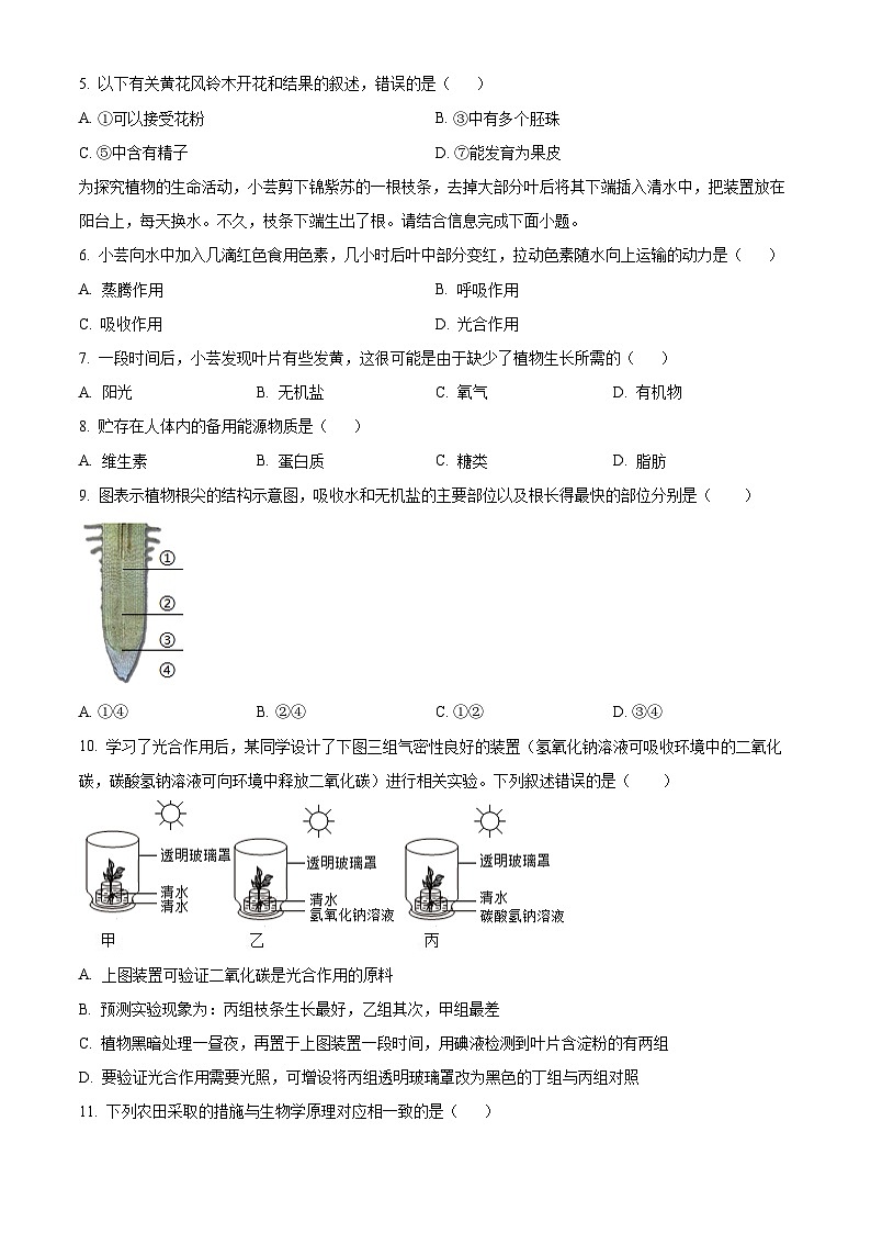 福建省漳州市芗城区漳州三中、三中分校联考2024-2025学年七年级下学期期中生物试题第2页