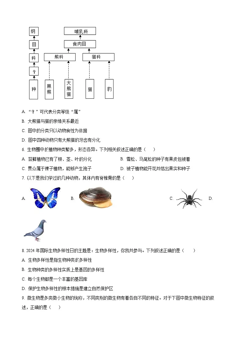 河北省衡水市故城县2024-2025学年八年级下期中生物试题第2页