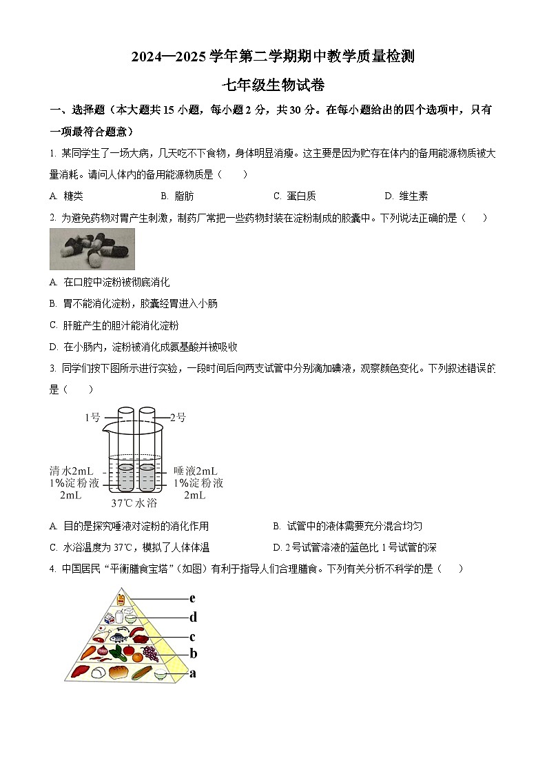 河北省邯郸市曲周县2024--2025学年七年级下学期期中生物试题第1页
