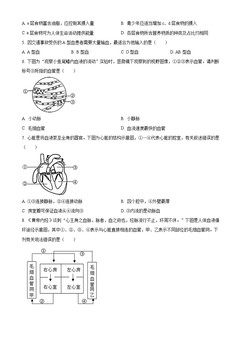 河北省邯郸市曲周县2024--2025学年七年级下学期期中生物试题第2页