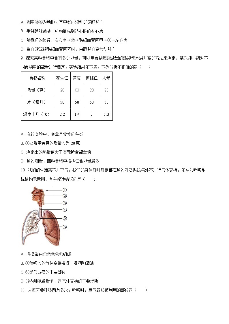 河北省邯郸市曲周县2024--2025学年七年级下学期期中生物试题第3页