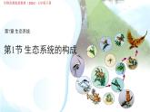 3.7.1生態(tài)系統(tǒng)的構(gòu)成 課件 生物蘇教版（2024）七年級(jí)下冊(cè)第3單元