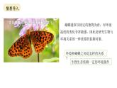3.7.1生態(tài)系統(tǒng)的構(gòu)成 課件 生物蘇教版（2024）七年級(jí)下冊(cè)第3單元