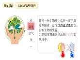 3.7.1生態(tài)系統(tǒng)的構(gòu)成 課件 生物蘇教版（2024）七年級(jí)下冊(cè)第3單元