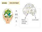3.7.1生態(tài)系統(tǒng)的構(gòu)成 課件 生物蘇教版（2024）七年級(jí)下冊(cè)第3單元