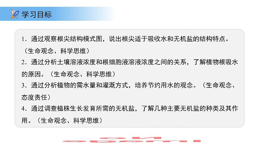 4.10.1植物的营养器官 第1课时 课件 生物苏教版（2024）七年级下册第4单元第2页