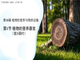 4.10.1植物的營養(yǎng)器官 第3課時 課件 生物蘇教版（2024）七年級下冊第4單元