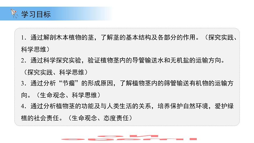 4.10.1植物的营养器官 第3课时 课件 生物苏教版（2024）七年级下册第4单元第2页