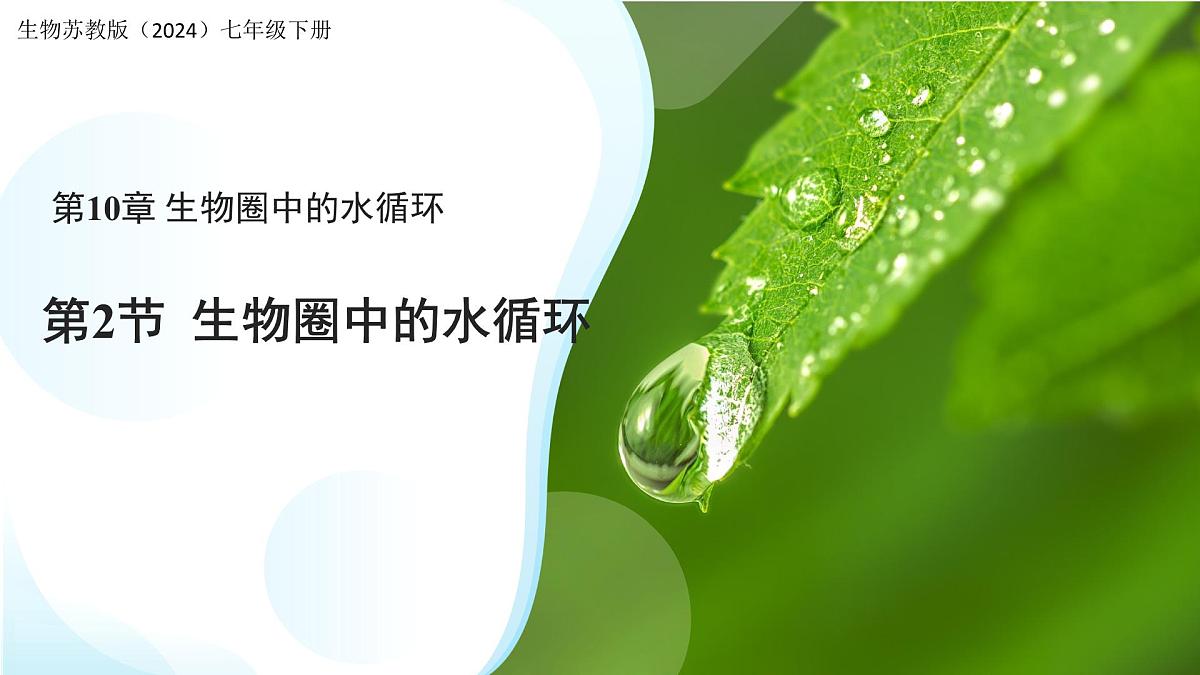 4.10.2 生物圈中的水循环 课件 生物苏教版（2024）七年级下册第4单元第1页