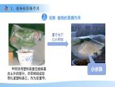 4.10.2 生物圈中的水循環(huán) 課件 生物蘇教版（2024）七年級(jí)下冊(cè)第4單元