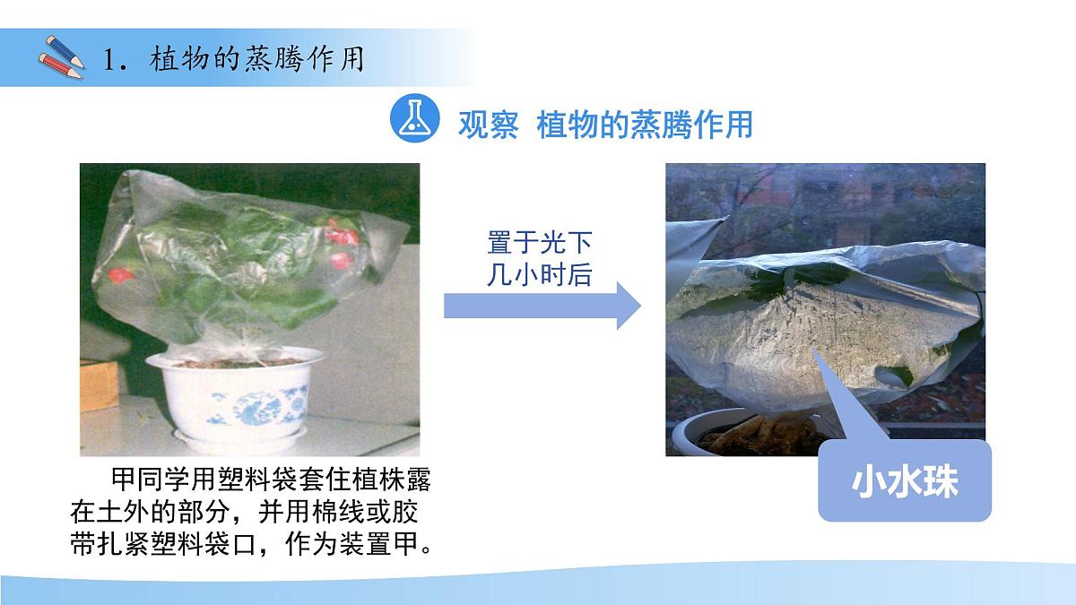 4.10.2 生物圈中的水循环 课件 生物苏教版（2024）七年级下册第4单元第4页