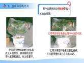 4.10.2 生物圈中的水循環(huán) 課件 生物蘇教版（2024）七年級(jí)下冊(cè)第4單元