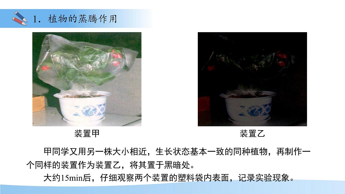 4.10.2 生物圈中的水循环 课件 生物苏教版（2024）七年级下册第4单元第6页