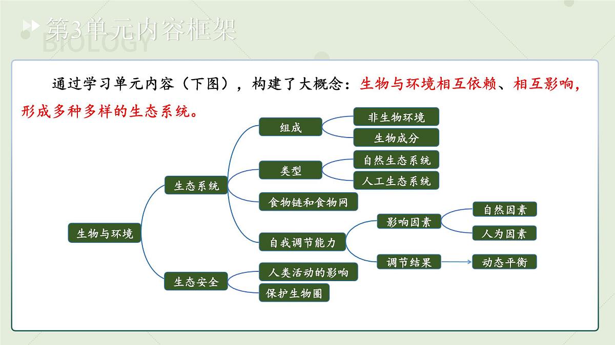 七年级下册生物苏教版期中复习（第7章~第9章）课件 生物苏教版（2024）七年级下册第2页