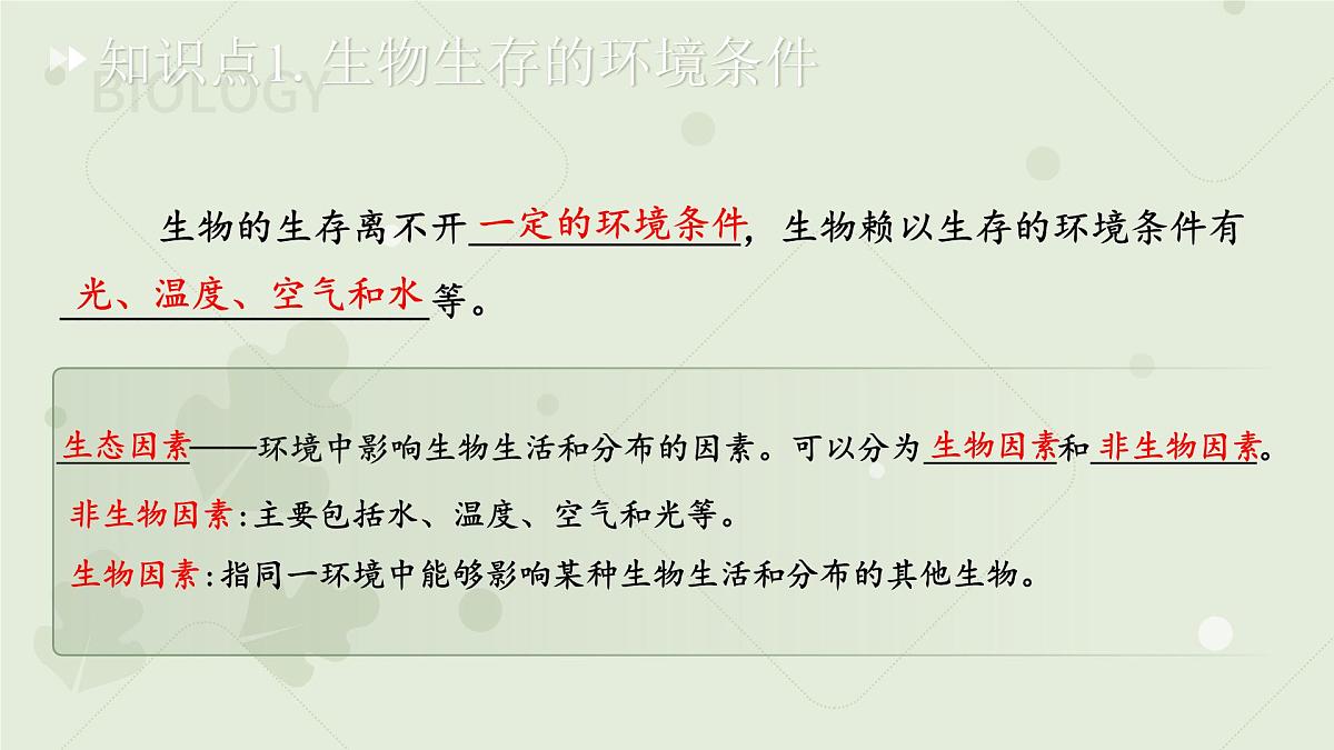 七年级下册生物苏教版期中复习（第7章~第9章）课件 生物苏教版（2024）七年级下册第4页