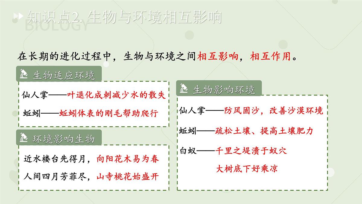 七年级下册生物苏教版期中复习（第7章~第9章）课件 生物苏教版（2024）七年级下册第5页