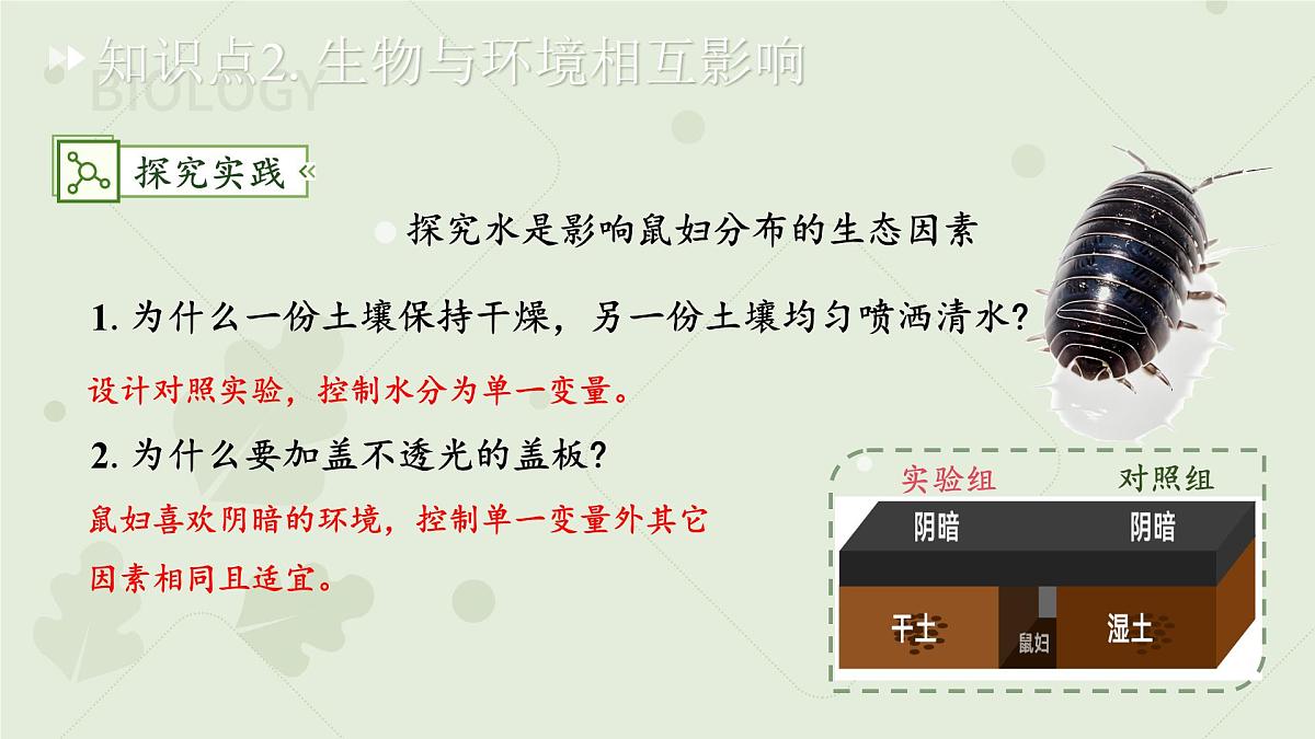 七年级下册生物苏教版期中复习（第7章~第9章）课件 生物苏教版（2024）七年级下册第6页