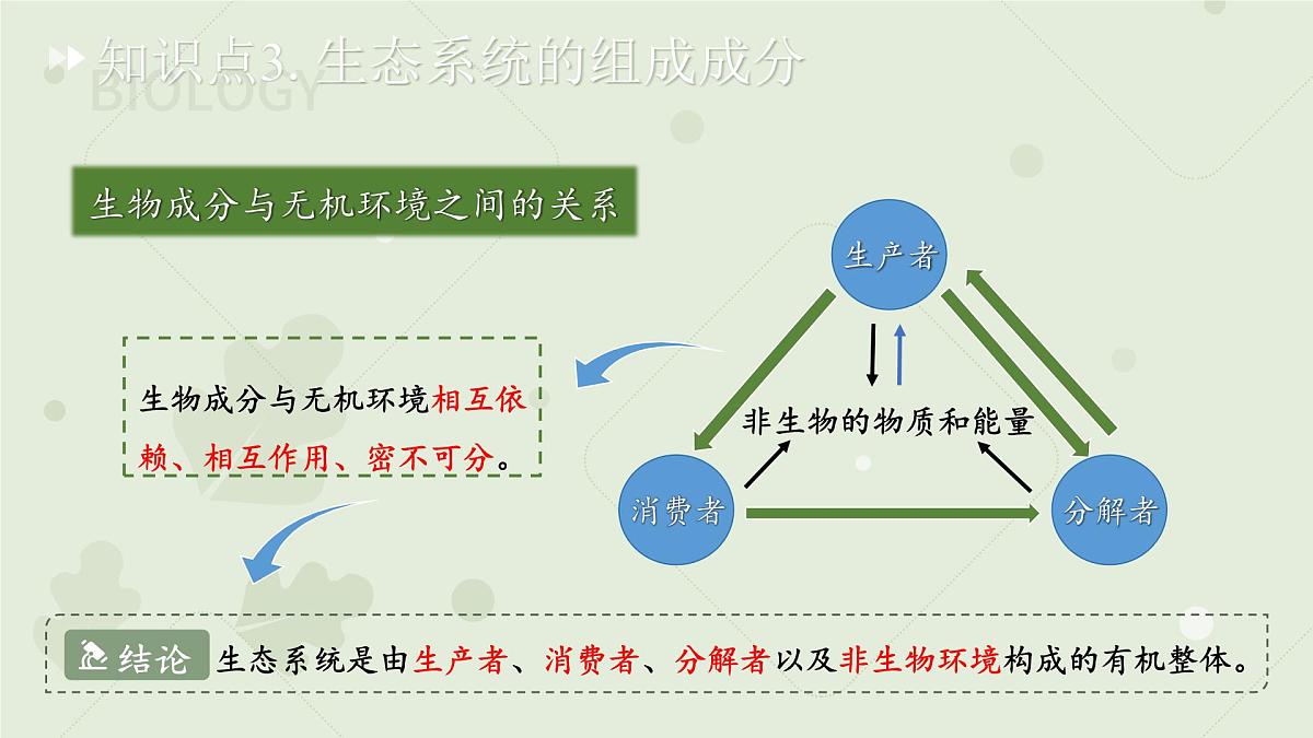 七年级下册生物苏教版期中复习（第7章~第9章）课件 生物苏教版（2024）七年级下册第8页
