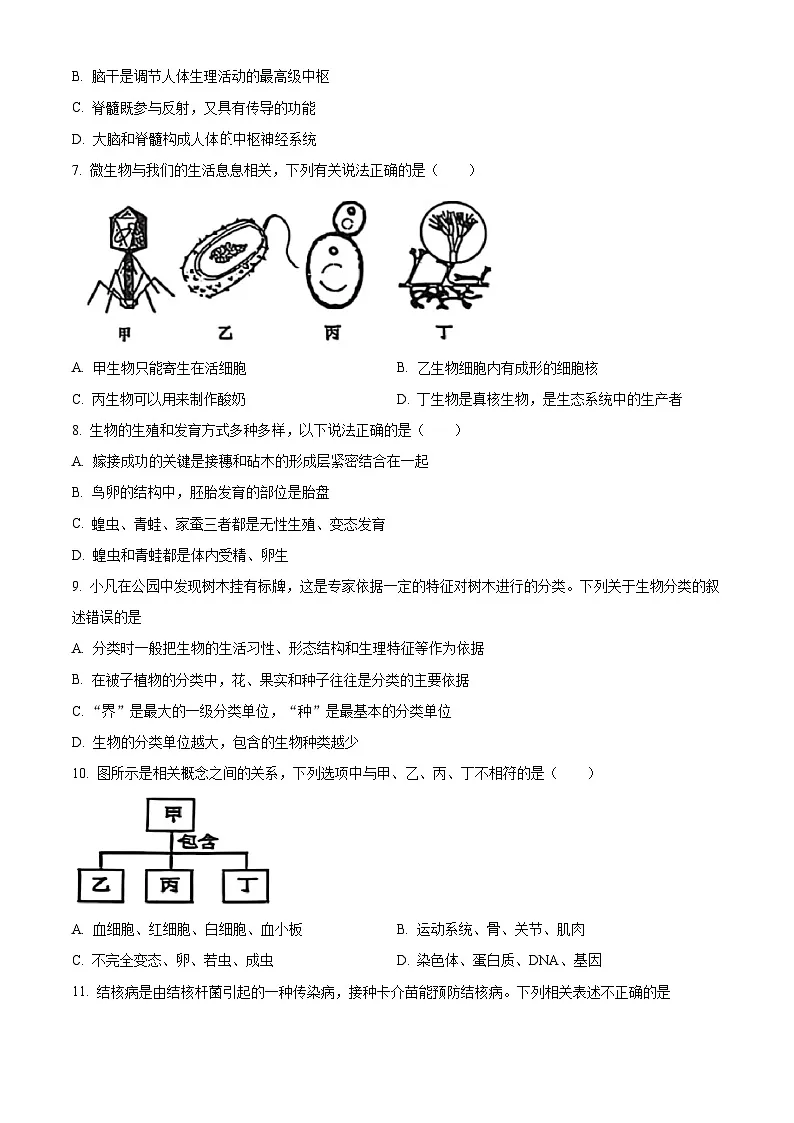 辽宁省盘锦市兴隆台区辽河中学2024-2025学年八年级下学期期中生物试题第2页