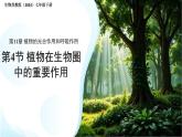 4.11.4  植物在生物圈中的重要作用 課件 生物蘇教版（2024）七年級(jí)下冊第4單元