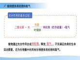 4.11.4  植物在生物圈中的重要作用 課件 生物蘇教版（2024）七年級(jí)下冊第4單元