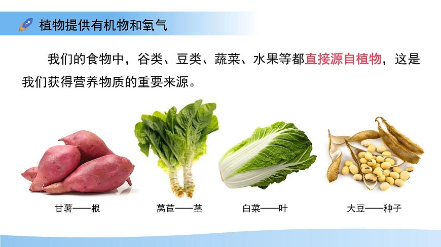 4.11.4  植物在生物圈中的重要作用 课件 生物苏教版（2024）七年级下册第4单元第5页