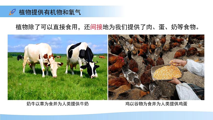 4.11.4  植物在生物圈中的重要作用 课件 生物苏教版（2024）七年级下册第4单元第6页