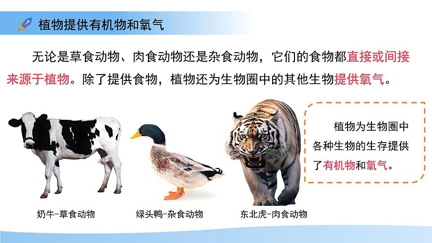 4.11.4  植物在生物圈中的重要作用 课件 生物苏教版（2024）七年级下册第4单元第7页