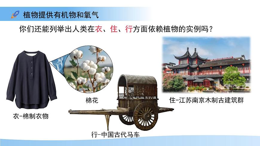 4.11.4  植物在生物圈中的重要作用 课件 生物苏教版（2024）七年级下册第4单元第8页