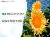 4.11.1 植物的光合作用 課件 生物蘇教版（2024）七年級(jí)下冊第4單元