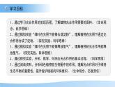 4.11.1 植物的光合作用 課件 生物蘇教版（2024）七年級(jí)下冊第4單元