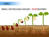 4.11.1 植物的光合作用 課件 生物蘇教版（2024）七年級(jí)下冊第4單元